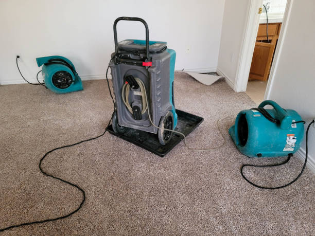 Water damage restoration insurance claims in Fairview, OR