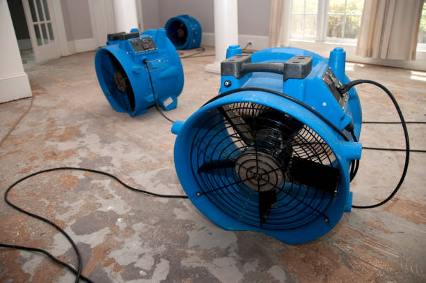 Best Flooded house restoration  in Fairview, OR