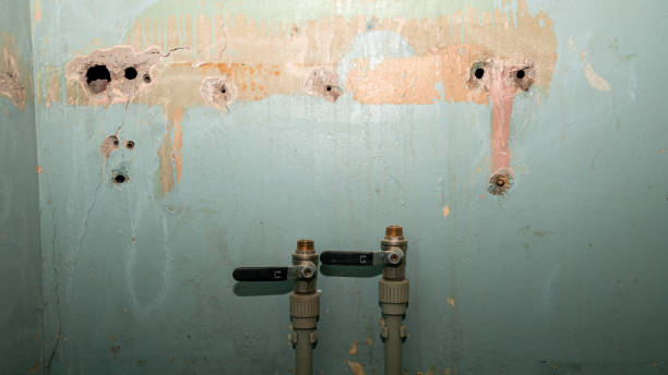 Best Mold removal after water damage  in Fairview, OR
